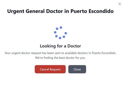 Espera a que un médico acepte la solicitud