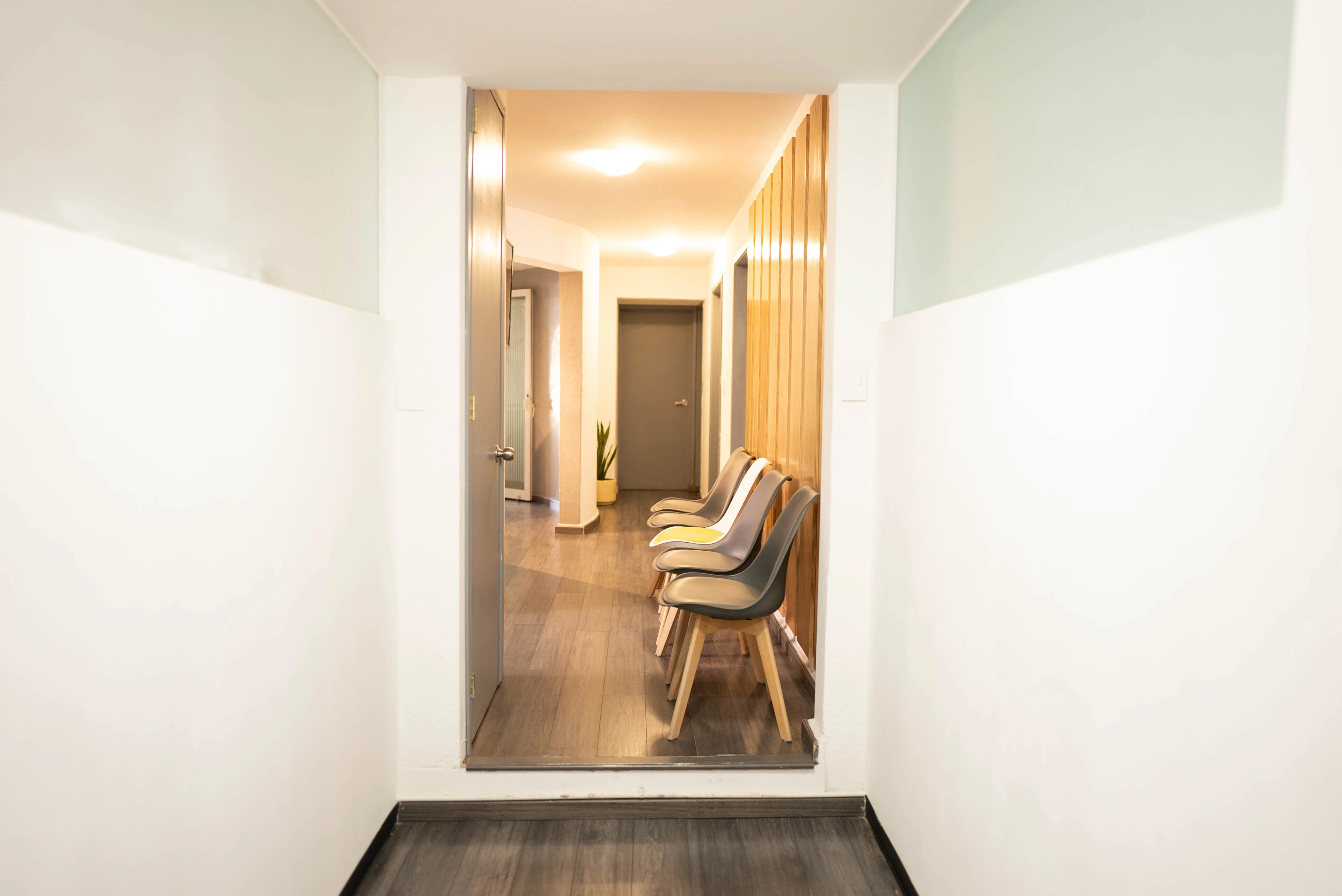 Additional view of Gabriela Franco's medical clinic
