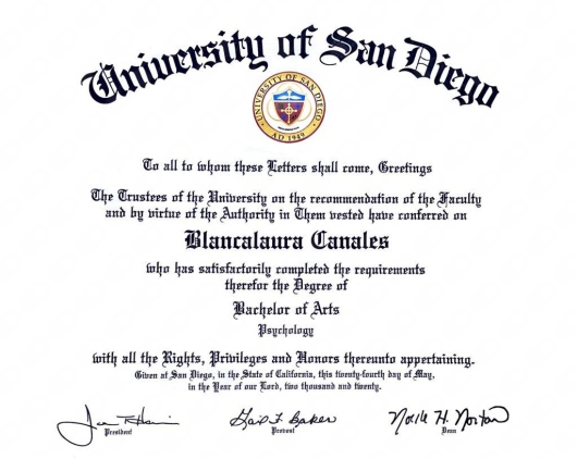 Doctor's credential certificate 1