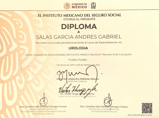 Doctor's credential certificate 2