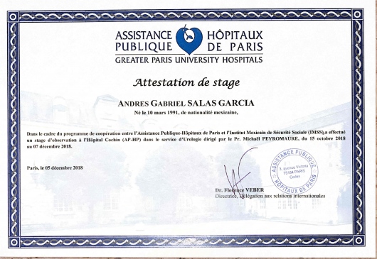 Doctor's credential certificate 4
