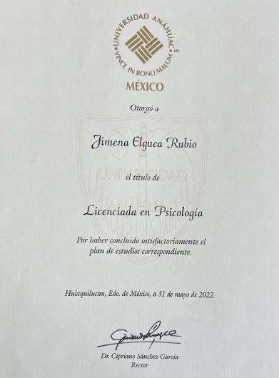 Doctor's credential certificate 3