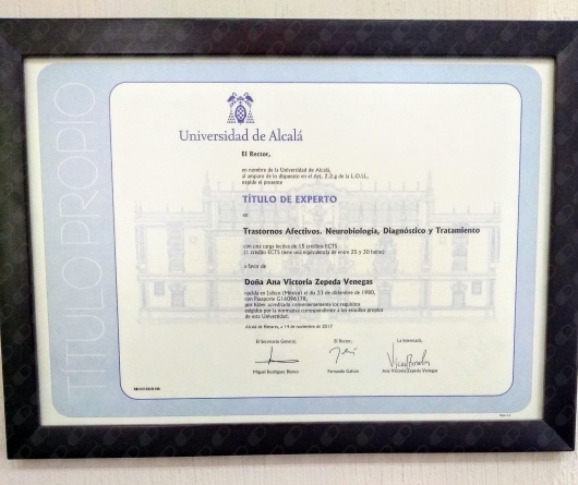 Doctor's credential certificate 3