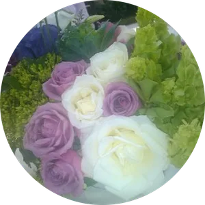 Elizabeth Hernández