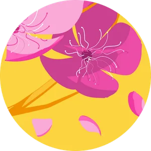 CLAUDIA DENISE NOVA AGUAS