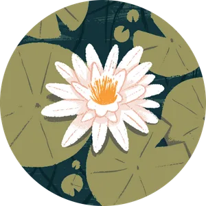 Karina Huerta Galicia