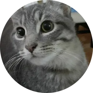 Teresita Martínez Salmerón