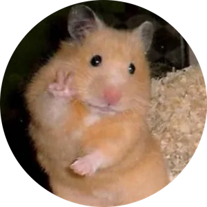 Fabiana Robles Lopez