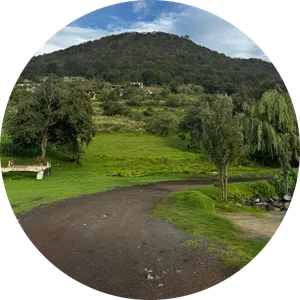 Luis Alfredo Gomez Neri