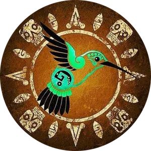 Alenka Navarrete Gonz