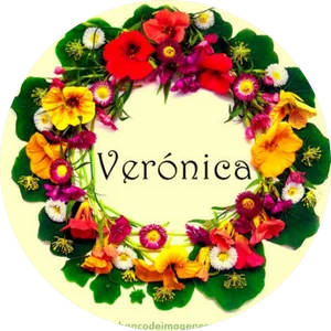 veronica jeronimo