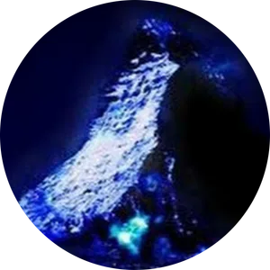 Leonardo Villaseñor