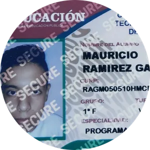 RAMIREZ GARCIA MAURICIO