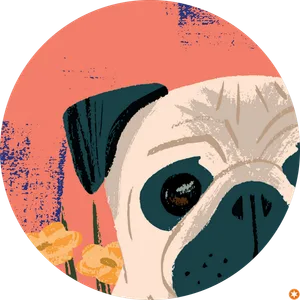 Gup “Notsener” M