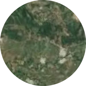 Yesenia Castañón Lopez