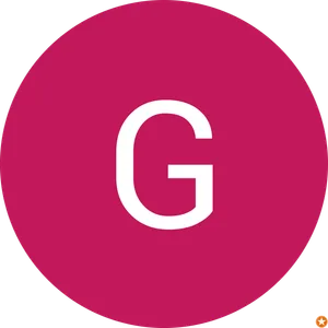 Gerardo Flores Rodriguez