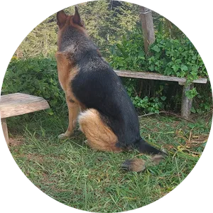 Ana Beatriz Arbelaez Arbelaez