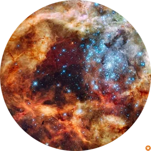 Andrea P Yánez G (Anypoppysmic)