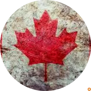 maria alice rodrigues santiago