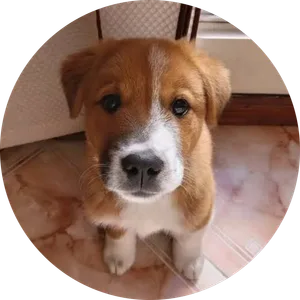 Daniel Alejandro Rodríguez Urrea