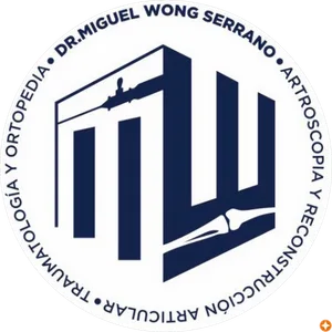 miguel wong serrano