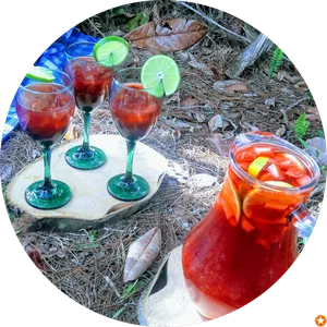 Picnic Guatapé