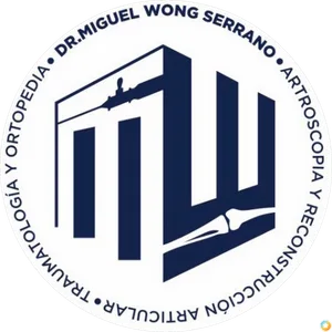 miguel wong serrano