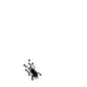 arisini