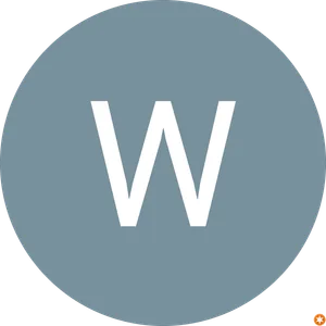 Wagner Lopes Martines