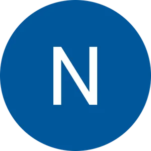 Nelson J. Thomaz