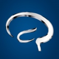 Hospital INC