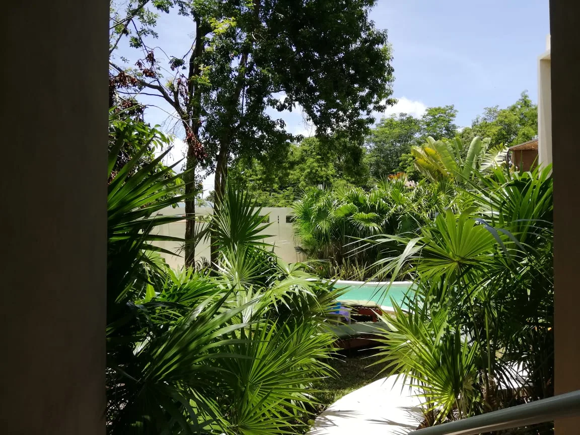 1 Bedroom Apartment in La Veleta, Tulum