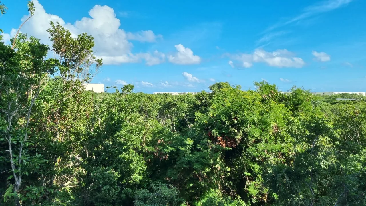 2 Bedroom Lock-Off Condo in Playa del Carmen