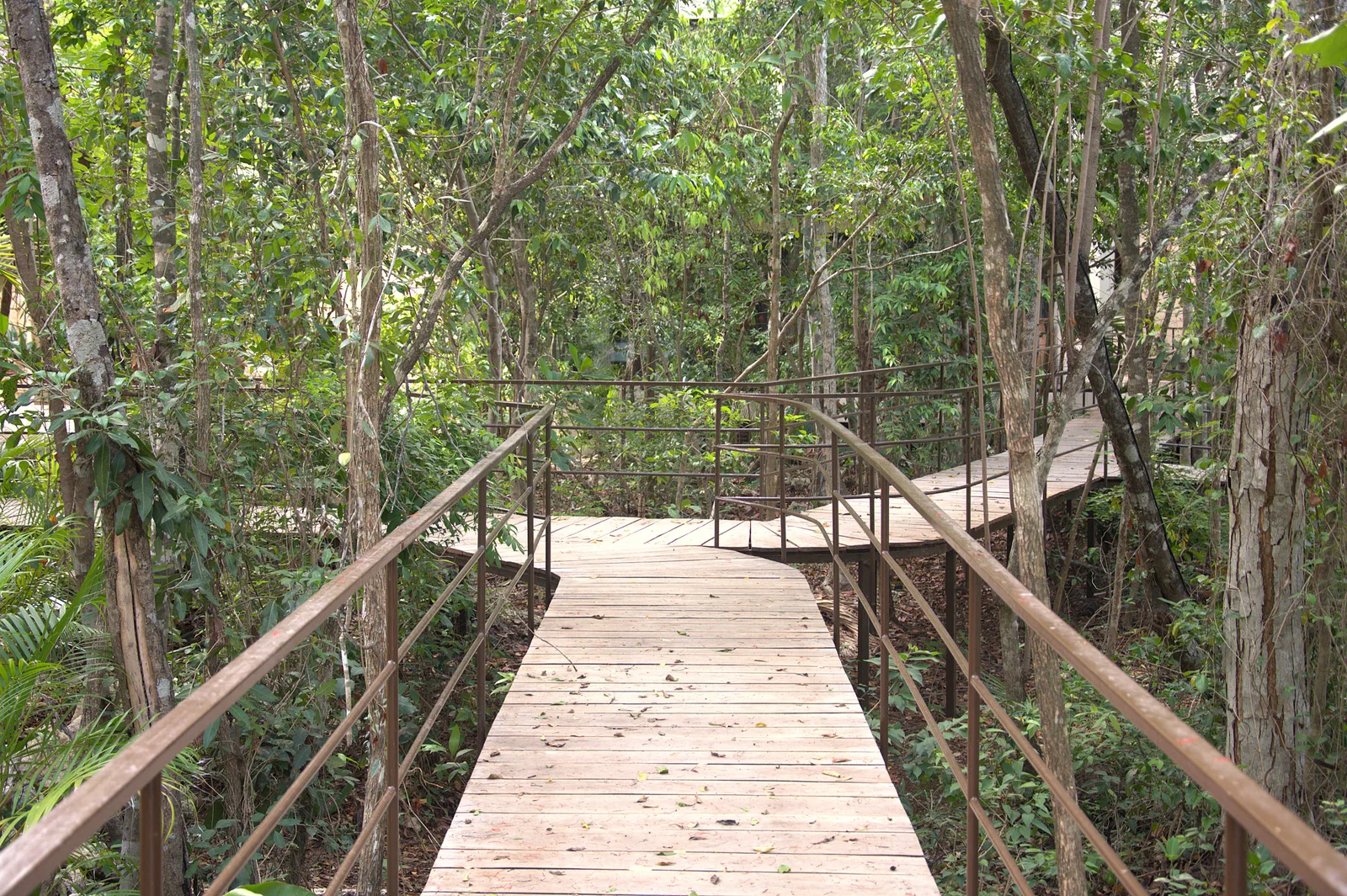 Luxury Property in Tulum