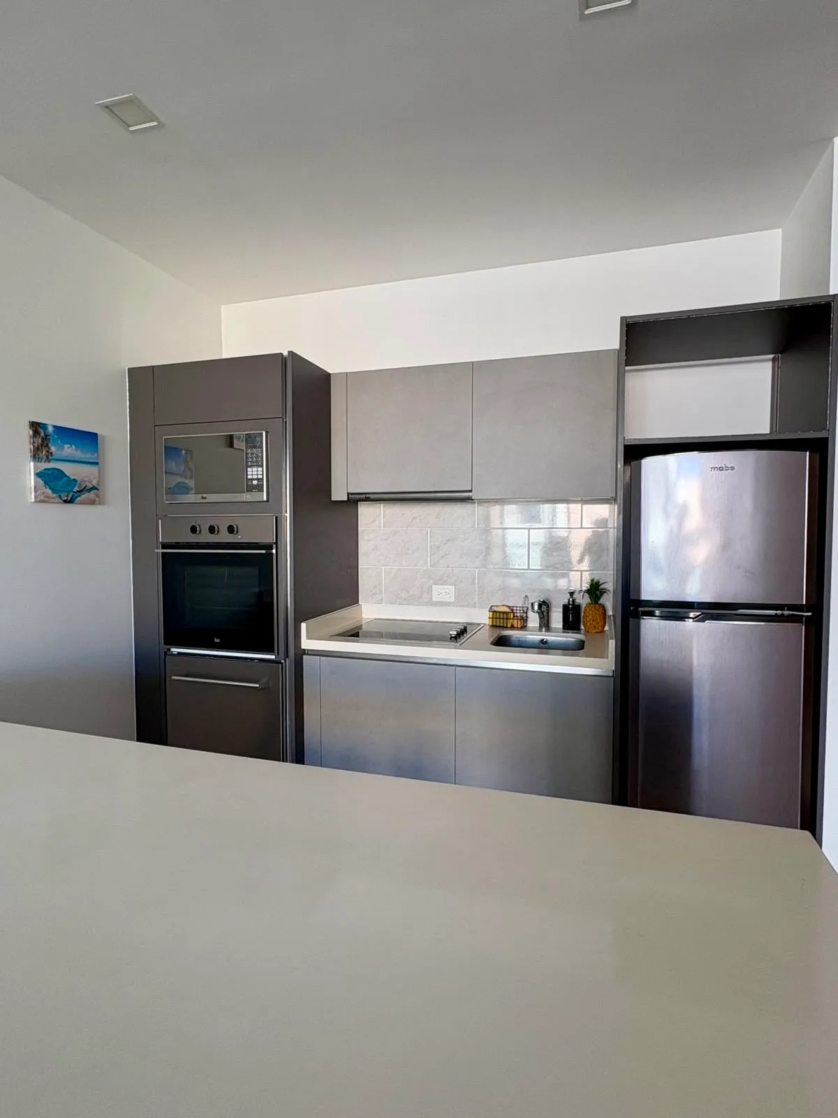 1 Bedroom Apartment in Playa del Carmen