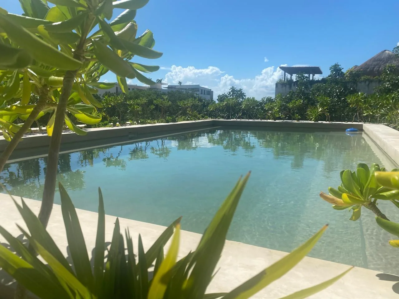 1 Bedroom Apartment in Tulum