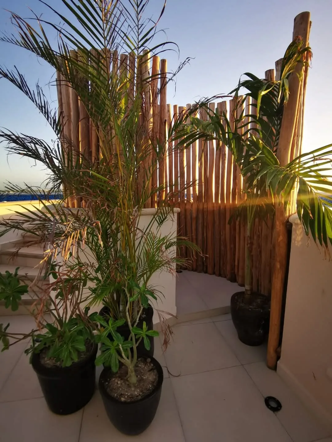 Studio Apartment in Playa del Carmen