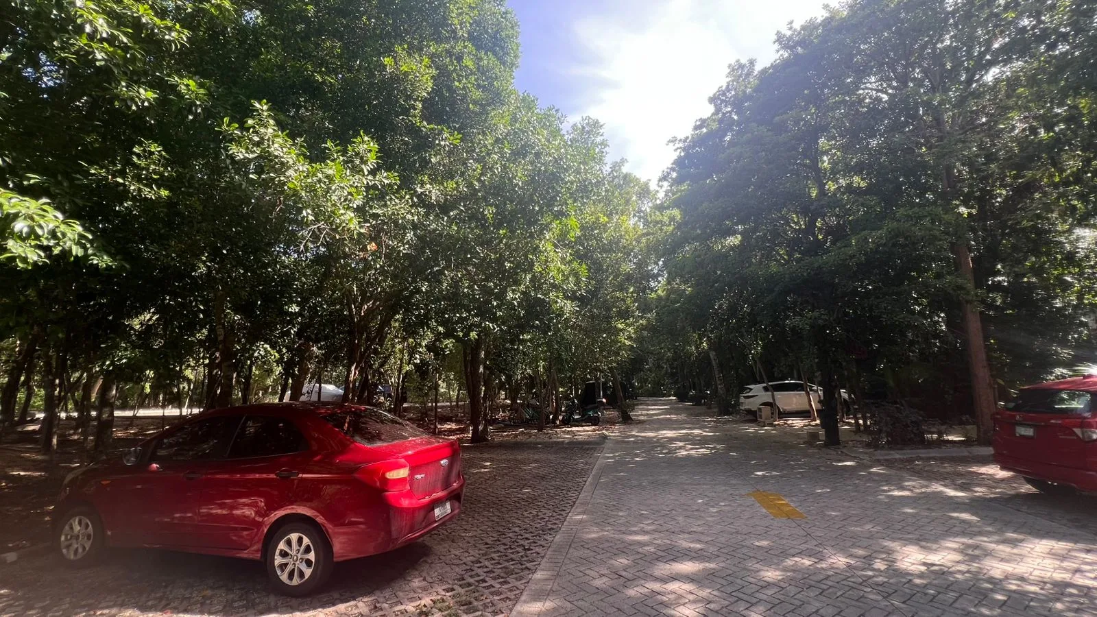 1 Bedroom Apartment in Tulum Country Club