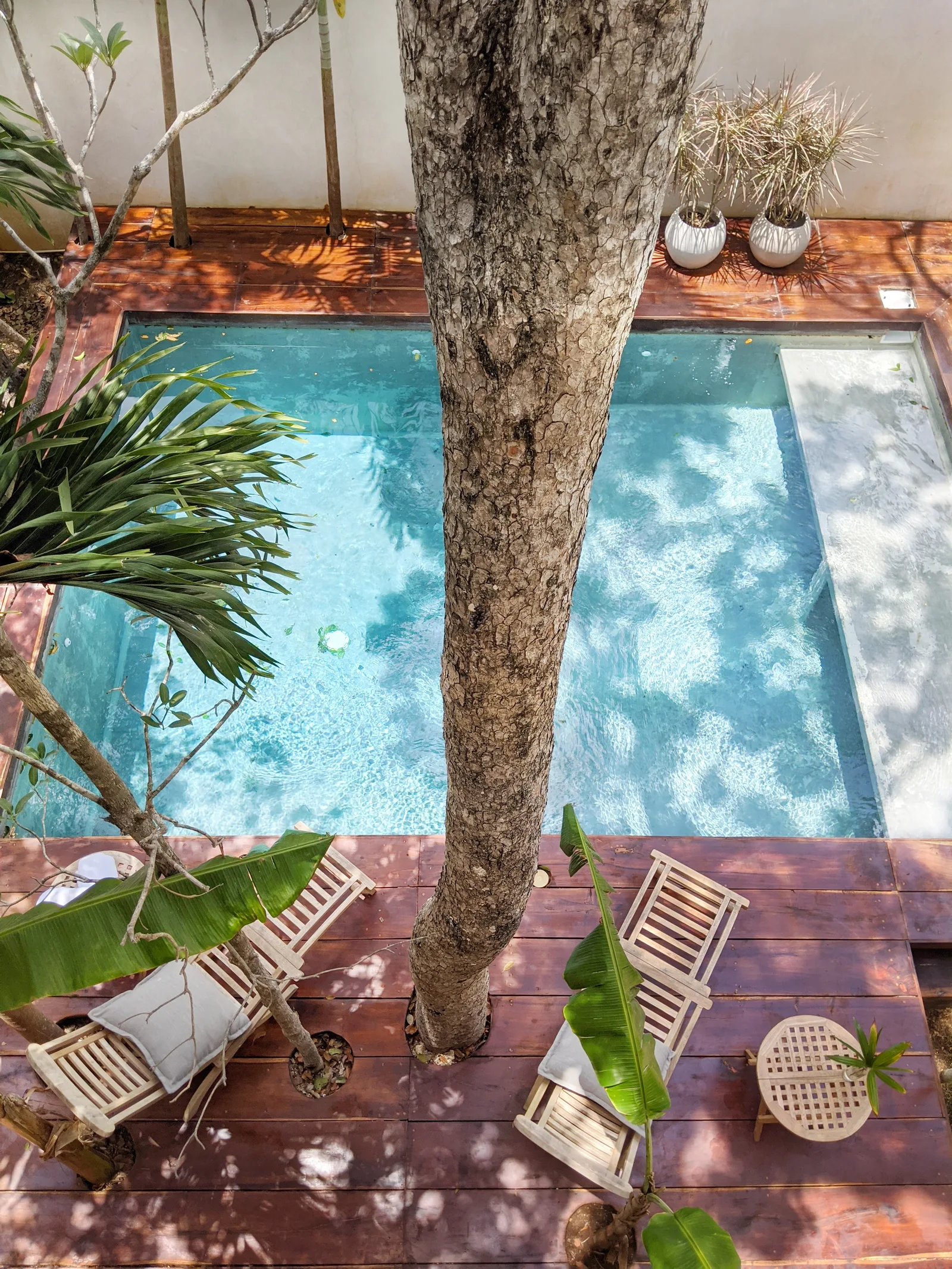 5 Bedroom House in Holistika, Tulum