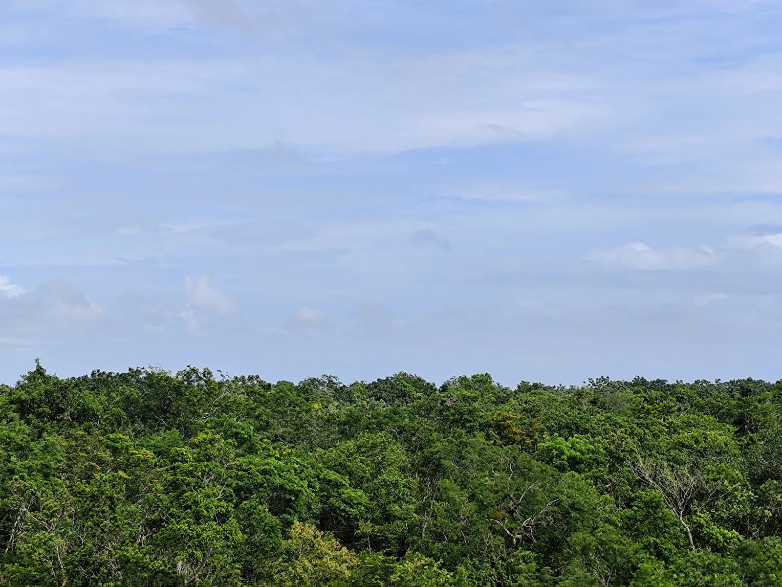Studio Apartment in Region 15, Tulum