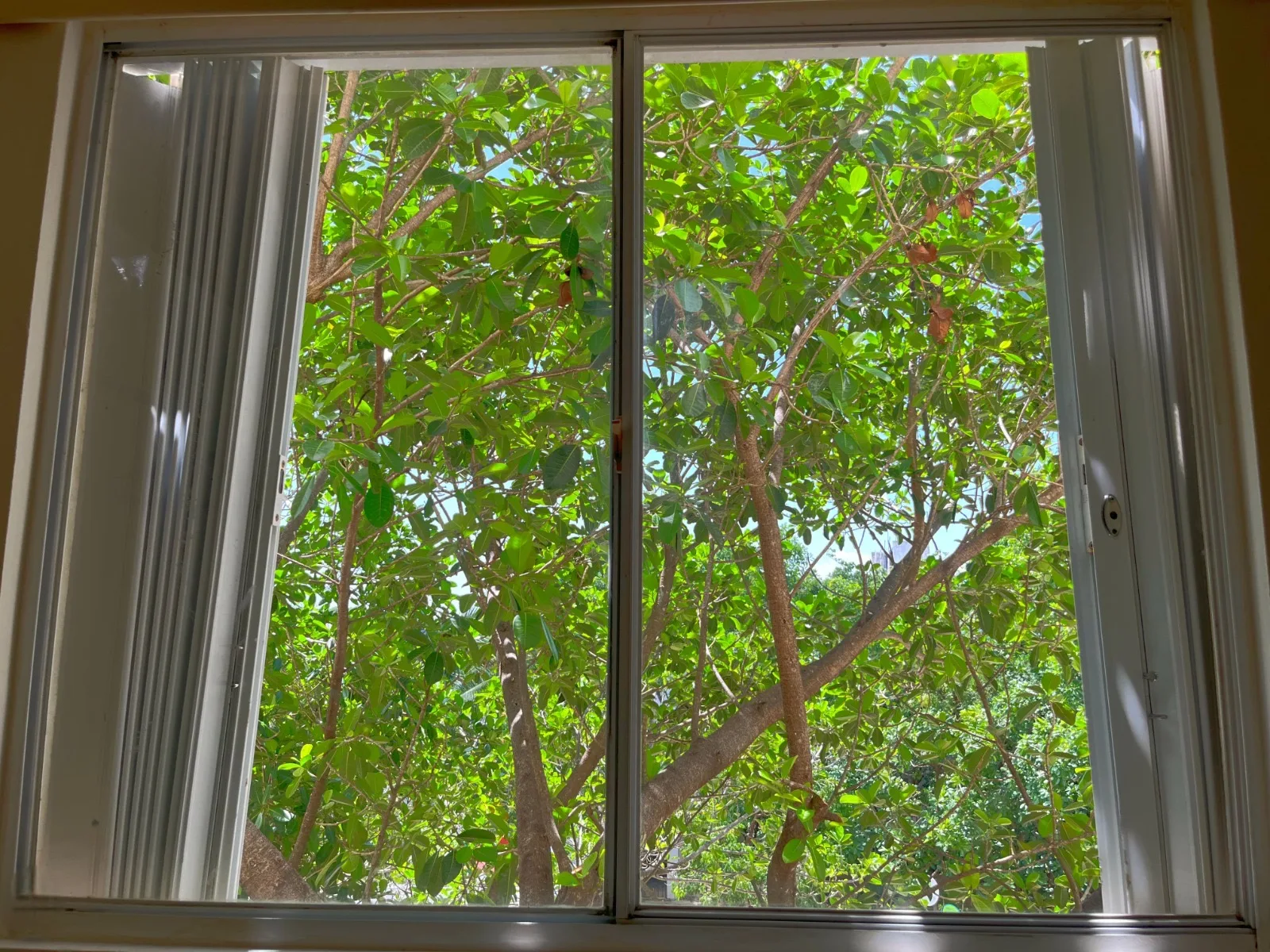 3 Bedroom Apartment in Playa del Carmen