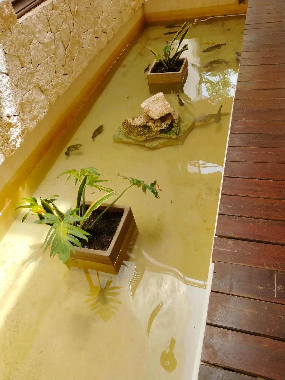 Studio Apartment in La Veleta, Tulum