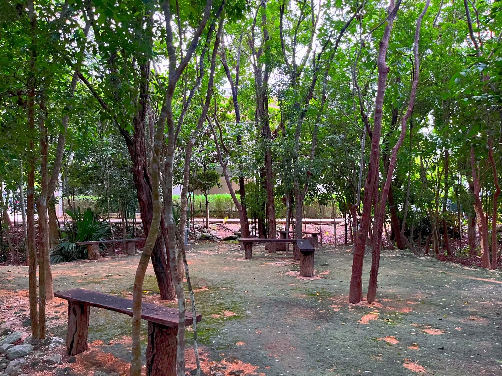3 Bedroom Apartment in Playa del Carmen