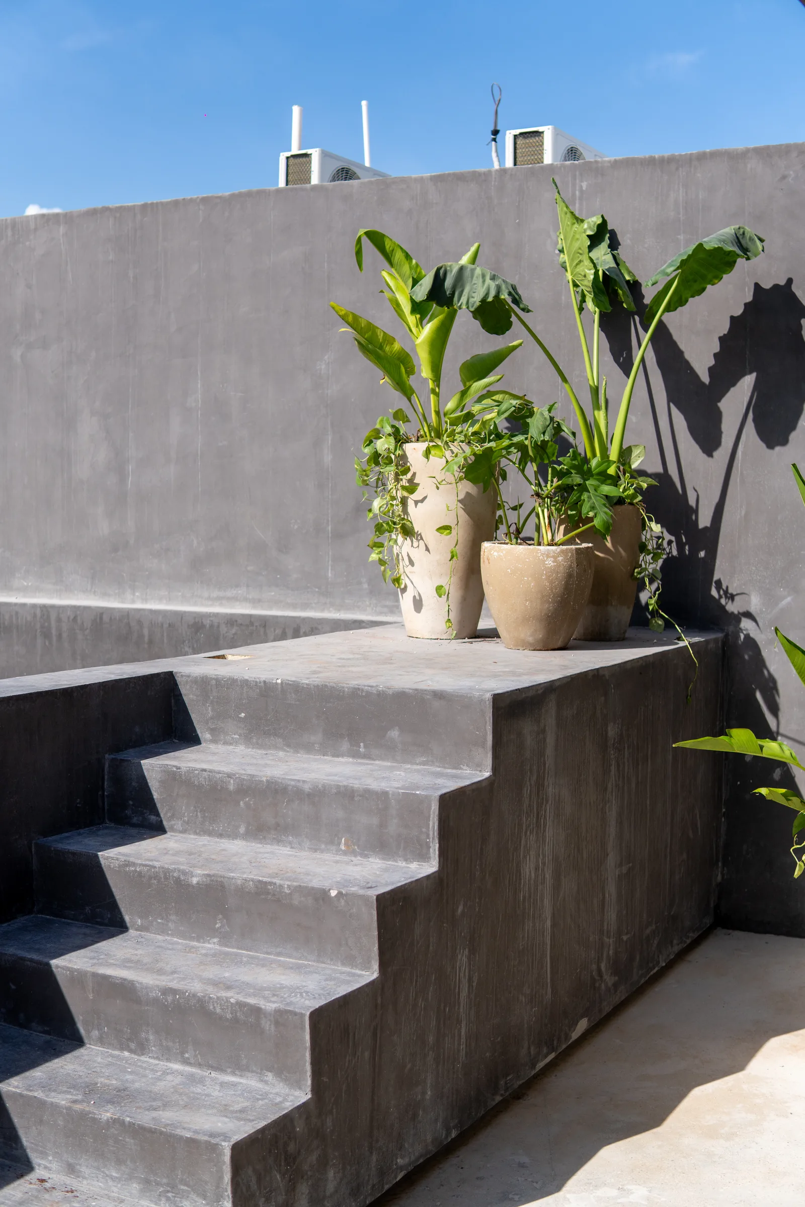 Studio on Av. La Selva in Tulum