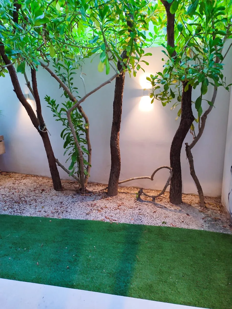 Studio with Private Patio in La Veleta Tulum
