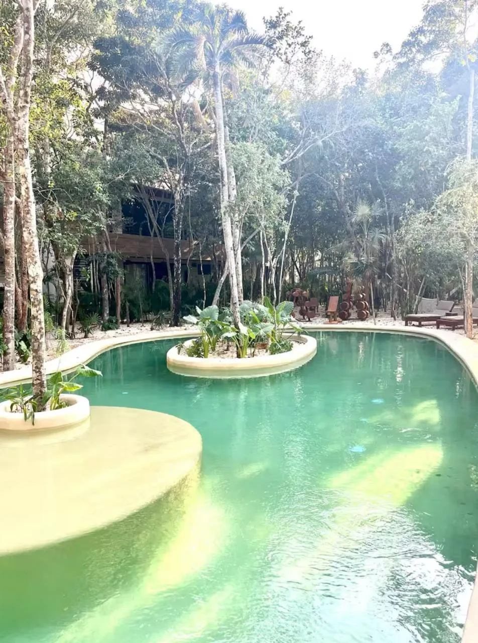 1 Bedroom Apartment in Tulum Region 8