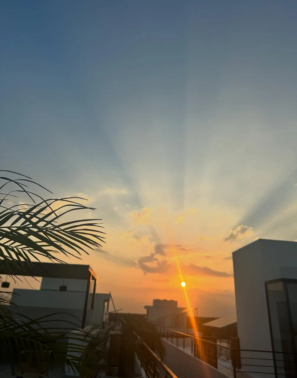 1 Bedroom Apartment in Tulum Region 8