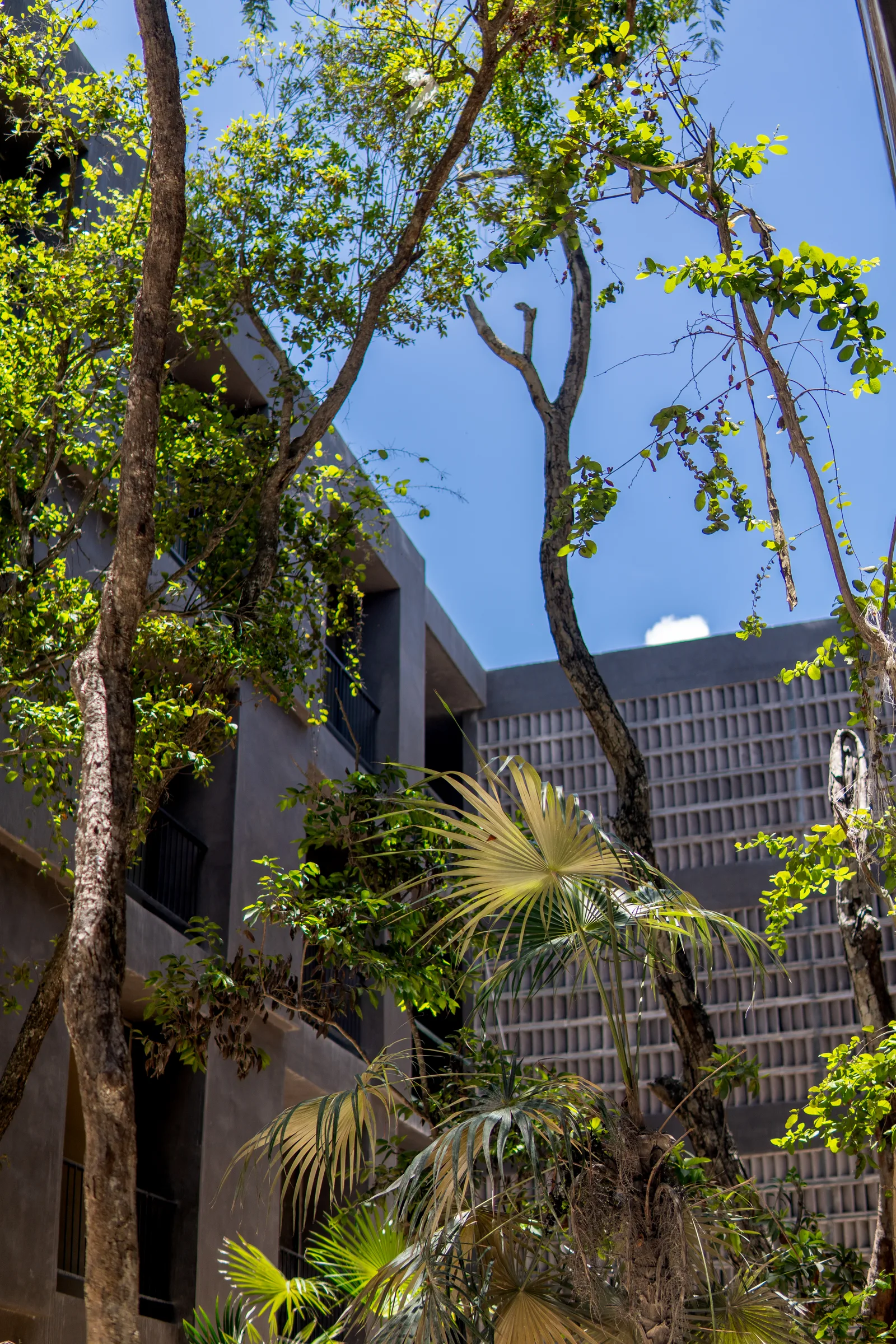 Studio on Av. La Selva in Tulum