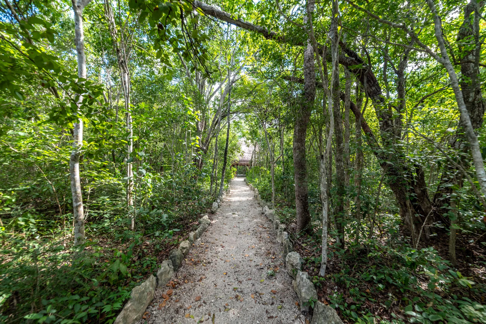 2 Bedroom Apartment in Tulum