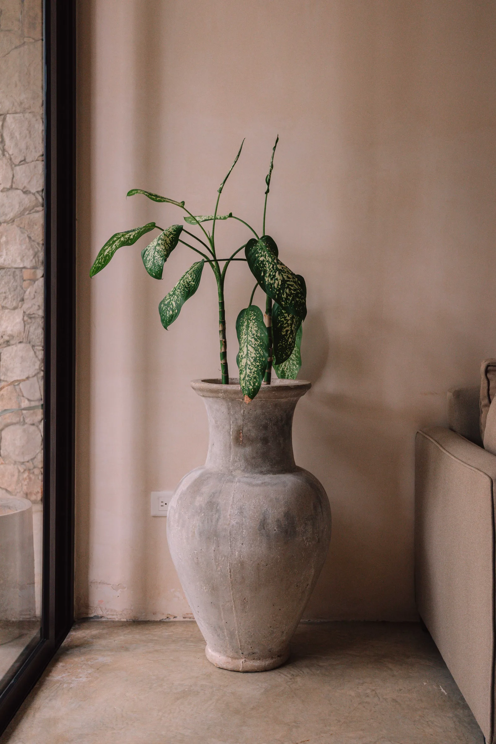 Property in Tulum